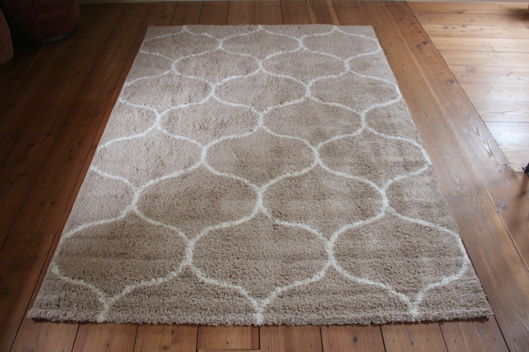 Vloerkleed Shaggy Salsa beige 200x290